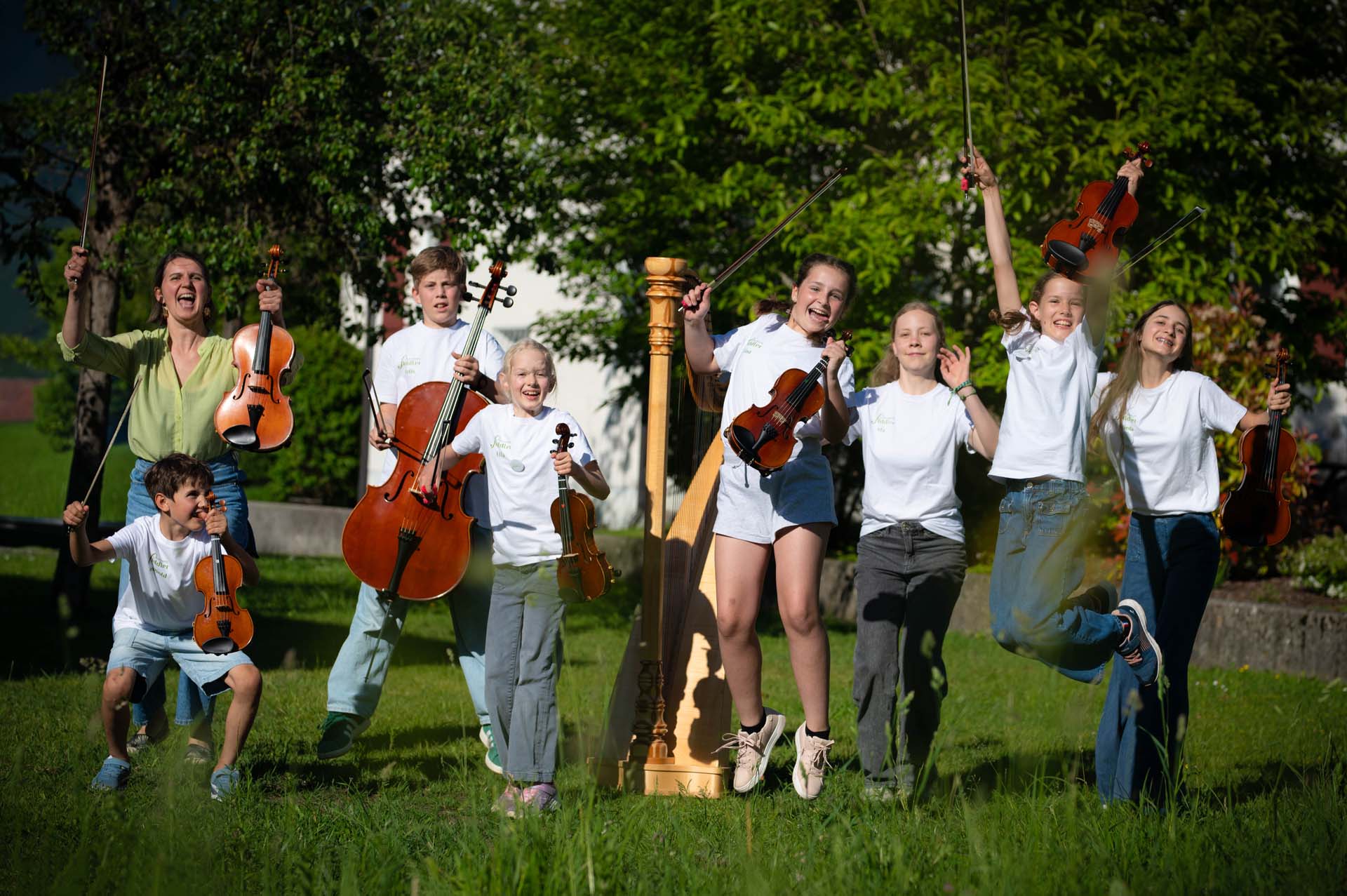 Druschauna Fiddler in Aktion auf der Wiese